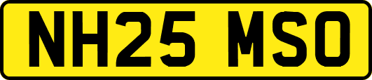 NH25MSO