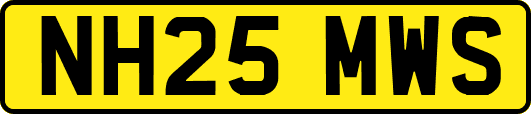 NH25MWS