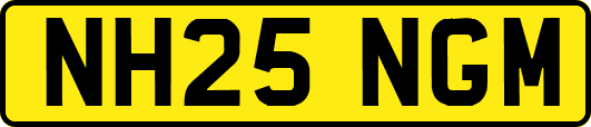 NH25NGM
