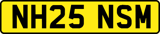NH25NSM