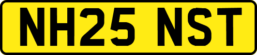 NH25NST
