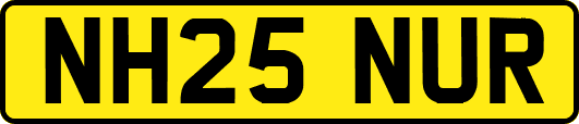 NH25NUR