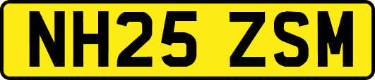 NH25ZSM