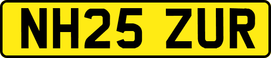 NH25ZUR