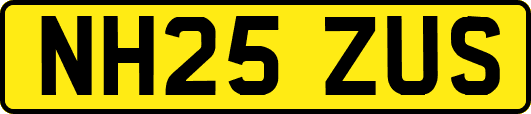 NH25ZUS