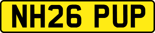NH26PUP