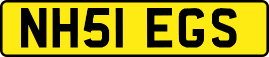 NH51EGS