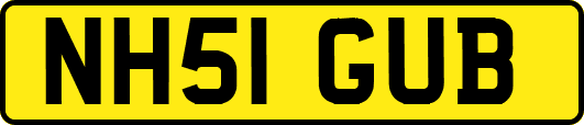 NH51GUB