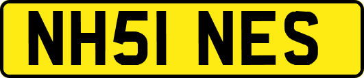 NH51NES