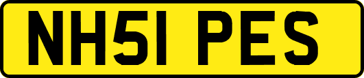 NH51PES
