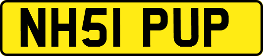 NH51PUP