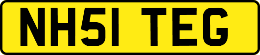 NH51TEG