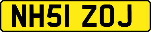 NH51ZOJ