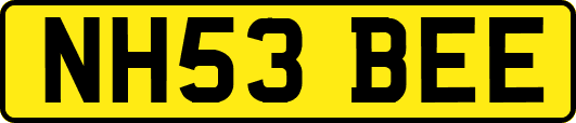 NH53BEE