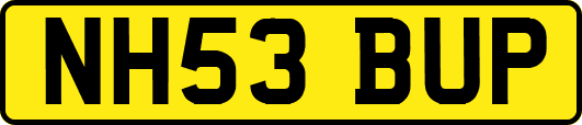 NH53BUP