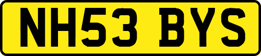 NH53BYS
