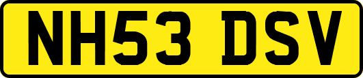 NH53DSV