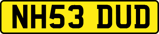 NH53DUD