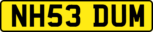 NH53DUM