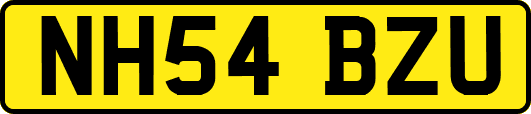 NH54BZU