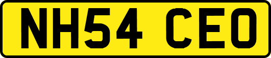 NH54CEO