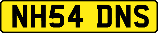 NH54DNS