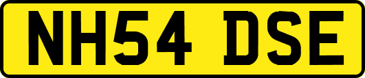 NH54DSE