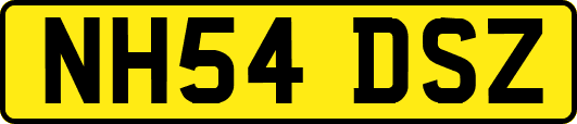 NH54DSZ