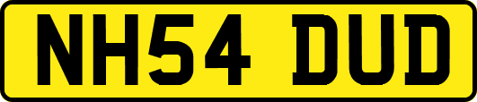 NH54DUD