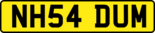 NH54DUM