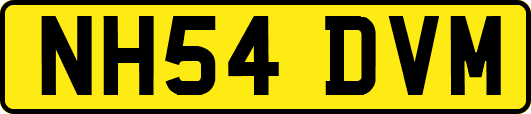 NH54DVM