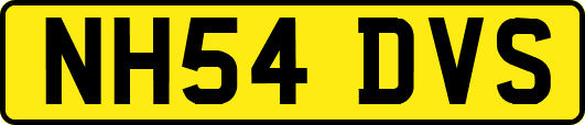 NH54DVS