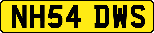 NH54DWS