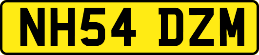 NH54DZM