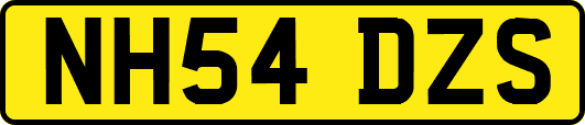 NH54DZS
