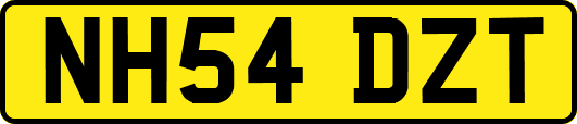 NH54DZT