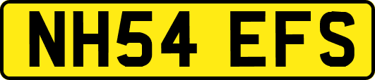NH54EFS