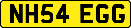 NH54EGG