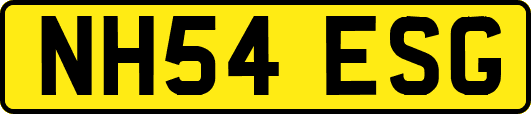 NH54ESG
