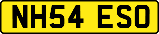 NH54ESO