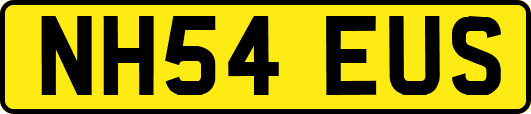NH54EUS