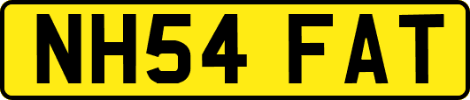 NH54FAT