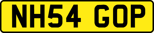 NH54GOP
