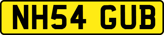 NH54GUB