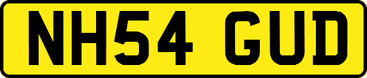 NH54GUD