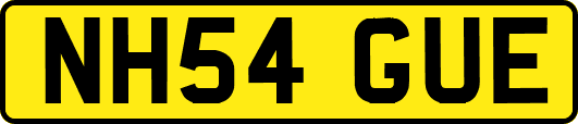 NH54GUE