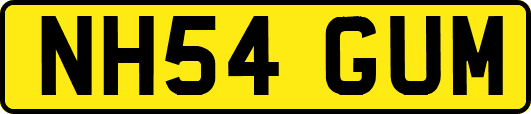 NH54GUM