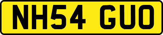 NH54GUO