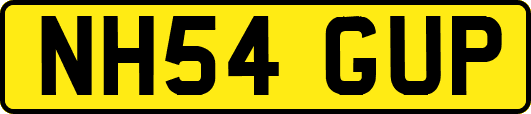 NH54GUP