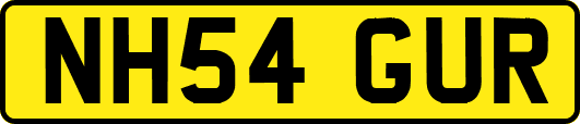 NH54GUR